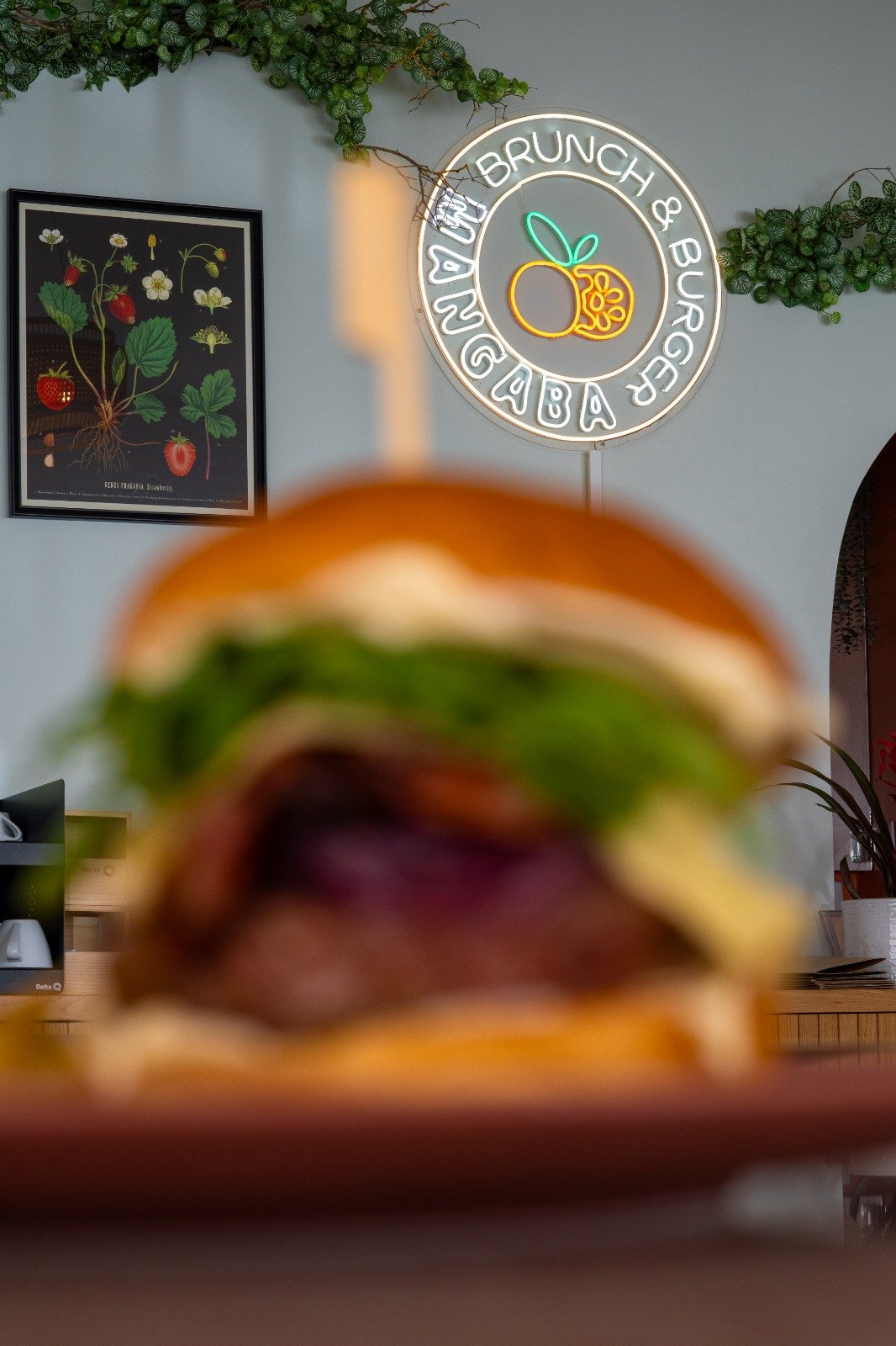 WhatsApp Image 2026-02-25 at 15.18.13